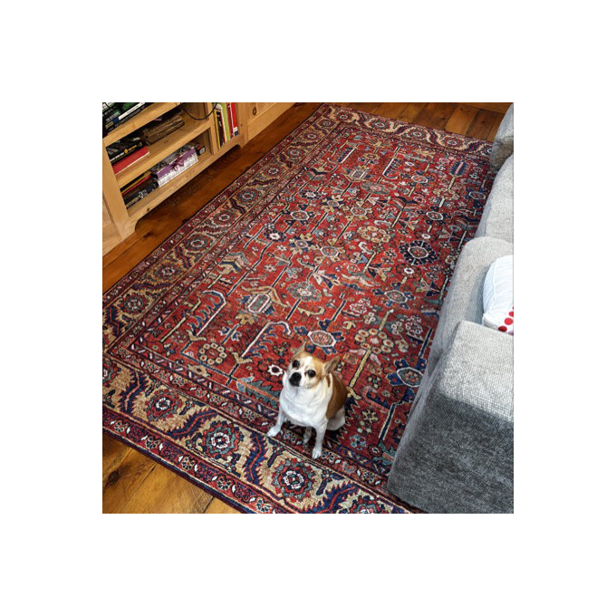 Langley Street® Fleckenstein Oriental Red Area Rug & Reviews | Wayfair